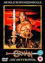 Conan The Destroyer (Wide Screen)