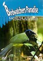 Birdwatchers Paradise - Languna Atascosa National Wildlife Refuge