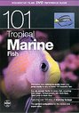 101 Tropical Marine Fish