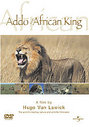 Addo - The African King