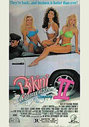 Bikini Carwash Company 2, The