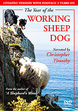 Year Of The Working Sheep Dog, The