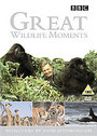 Great Wildlife Moments With David Attenborough (Wide Screen)