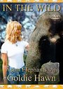 In The Wild - Asian Elephants With Goldie Hawn