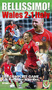 Belissimo! - Wales 2 - 1 Italy