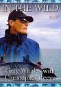 In The Wild - Grey Whales With Christopher Reeve