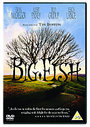 Big Fish