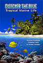Discover The Blue - Tropical Marine Life