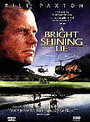 Bright Shining Lie, A