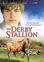 Derby Stallion, The