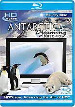 Antarctica Dreaming - Wildlife On Ice